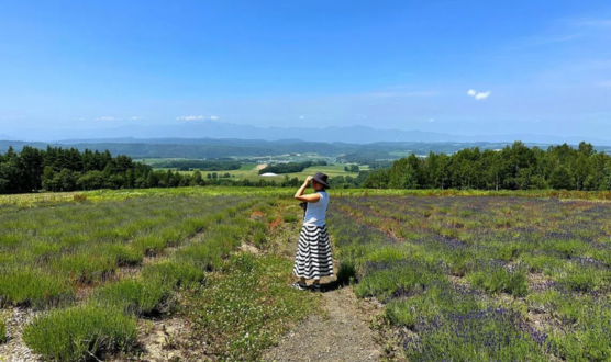 A first-time visitor’s guide: Escape Japan’s summer heat in colourful Furano