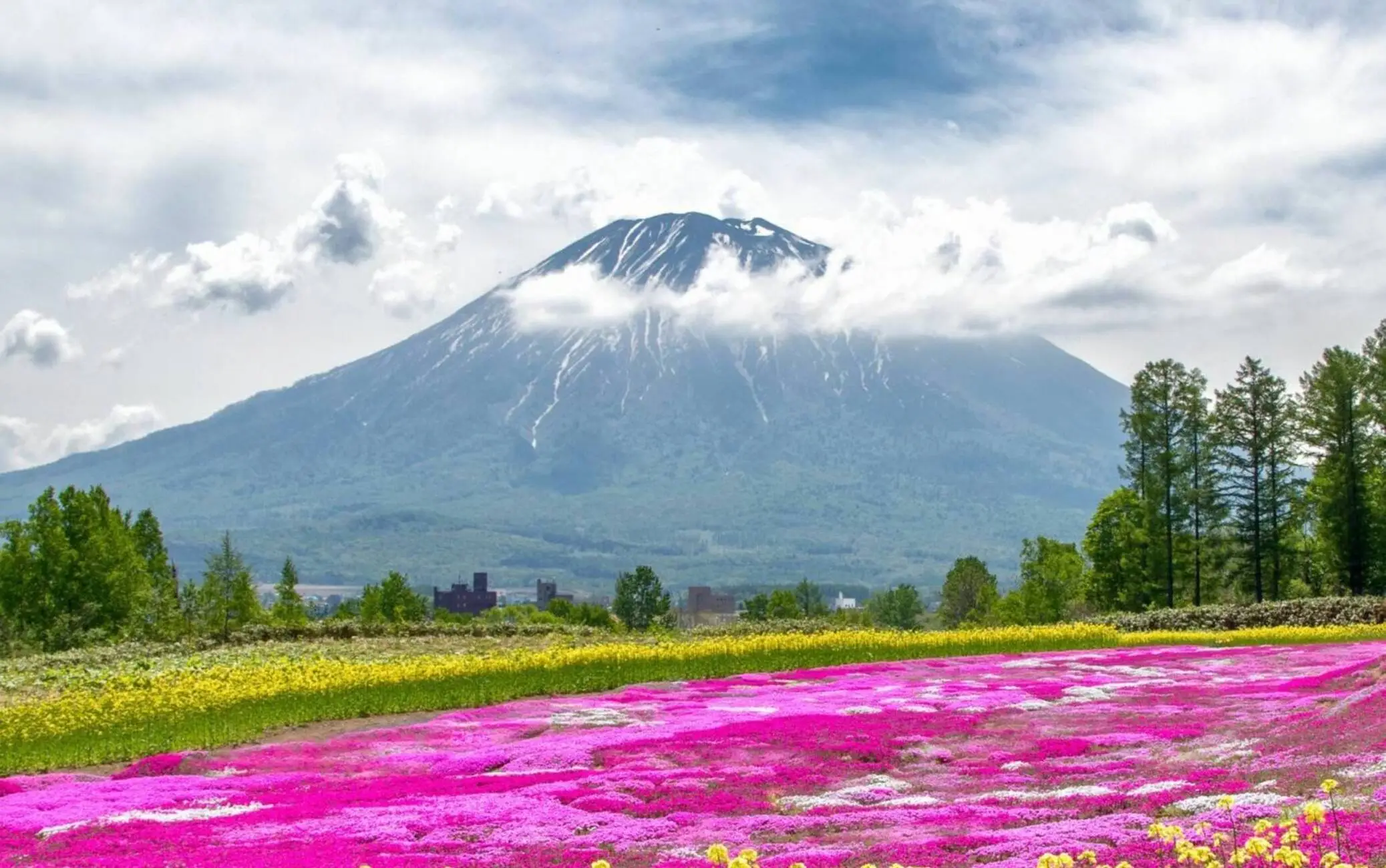 Hokkaido Summer Early Bird