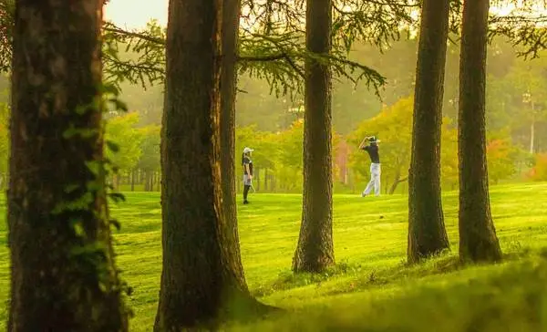 Stay and Play Golf Packages
